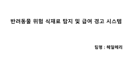 [KIT-INTEL Vision AI] 반려동물 위험 식재료 탐지 및 급여 경고 시스템