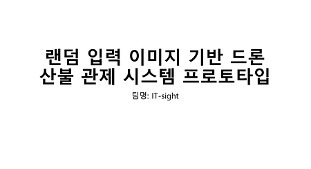 [KIT-INTEL Vision AI] 랜덤 입력 이미지 기반 드론 산불 관제 시스템 프로토타입