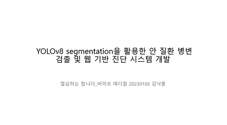 [KIT-INTEL Vision AI] YOLOv8 세그멘테이션 기반 안질환 병변 검출·웹 자가확인 서비스