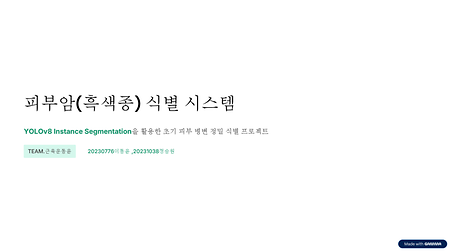 [KIT-INTEL Vision AI] 피부암(흑색종) 식별 시스템